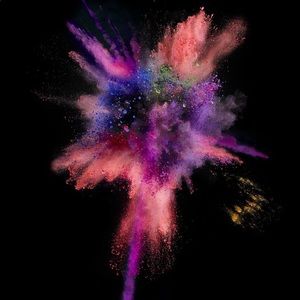 Meet your Posher, Michaela